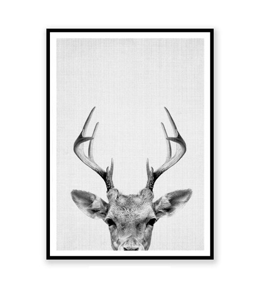 Deer Head 子鹿のモノクロ アート 動物ポスター 海外ポスター おしゃれポスター 通販 カリフォルニア プリント コレクティブ
